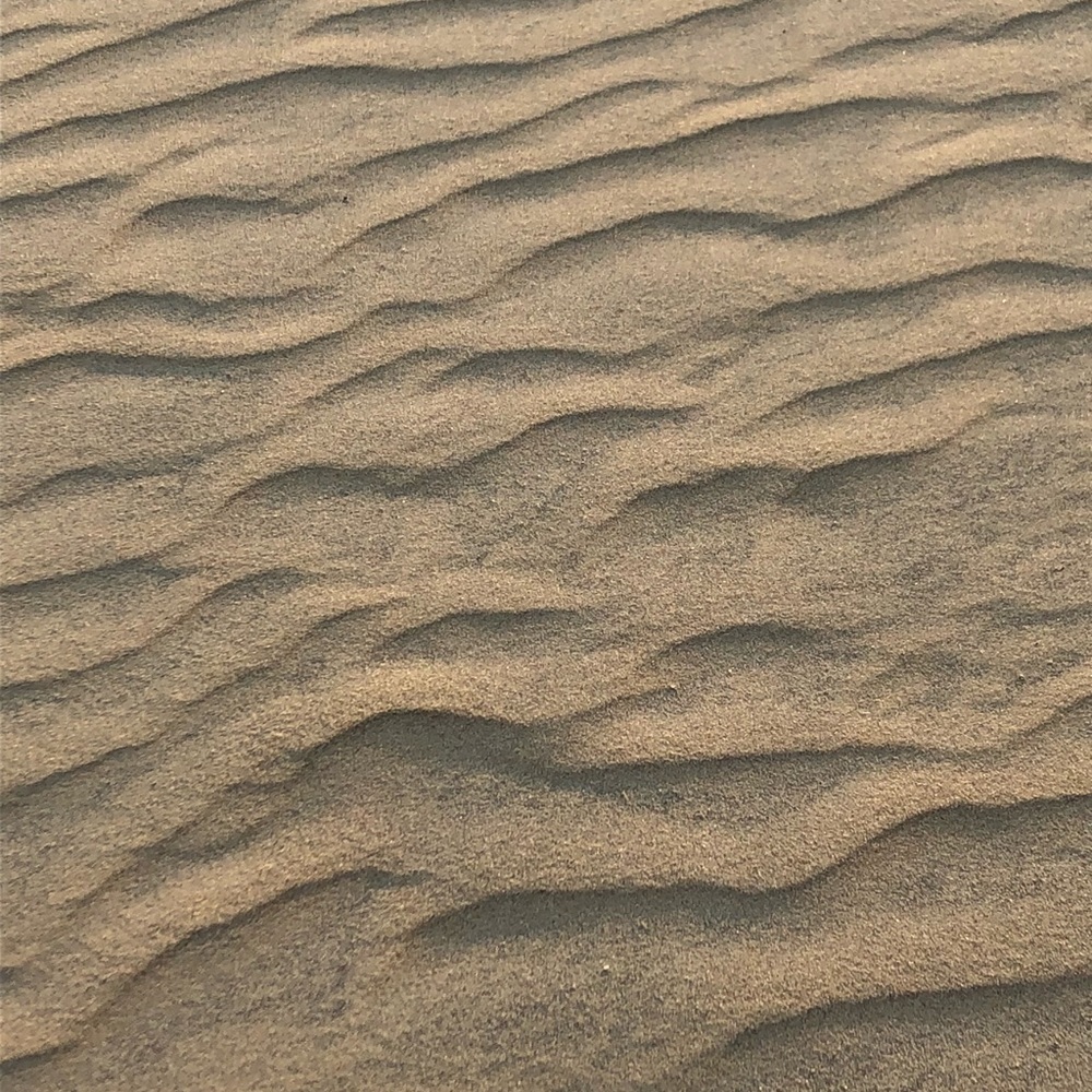 Meet your Posher, Fred